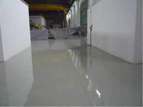 哈爾濱食品廠潔凈車(chē)間 環(huán)氧地坪漆的選擇與應(yīng)用指南